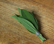 Sage herb tied in a bunch with twine on wooden background. Alternative medicinal plants, medical herb