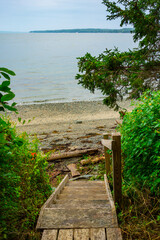 Wall Mural - Wooden Stairs to the beach in Surry, Maine