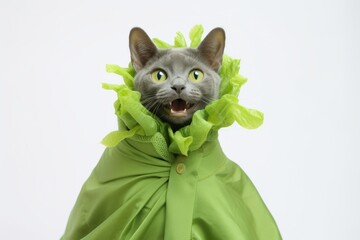 Wall Mural - korat cat wearing a pea pod costume against a white background