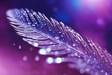 Fototapete - Beautiful transparent drops of rainwater on a bird feather. Blue and violet background wallpaper