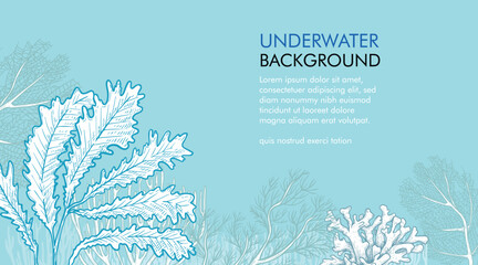 Wall Mural - Seaweed and corals design template. Hand drawn sketch style underwater illustration. Engraved style monochrome marine banner. Retro sea plants background.