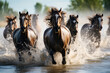 Wild horses in the rive