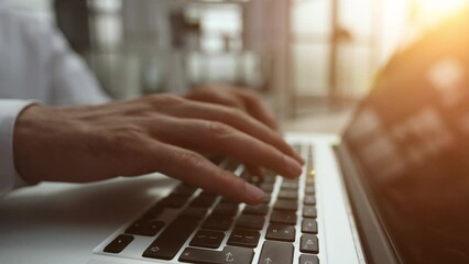 Wall Mural - Close-up of a business person's hands on a laptop.