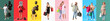 © Pixel-Shot - Set of people with purchases on color background. Black Friday