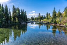 Cottonwood Creek In The Grand Teton National Park With Alpine Tree And Clear Water In Wyoming