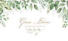 Watercolor Seamless Border -  Vector Illustration With Green Leaves And Branches, For Wedding Stationary, Greetings, Wallpapers, Fashion, Backgrounds, Textures, DIY, Wrappers, Cards.