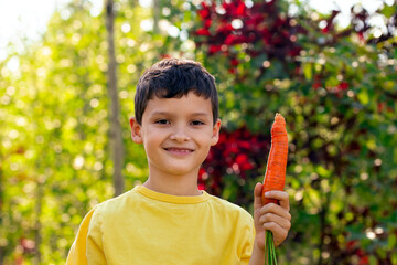 Wall Mural - A smiling boy with one big orange carrot in the garden.