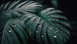 Green tropical leaves on black background. Rich greenery on the dark toned background. 