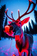 Reindeer With Glowing Red Nose 