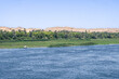 Majestic Nile Shoreline: Forest from the Cruise Ship. Egypt Summer Travel