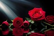 A bunch of red roses isolated on a black background
