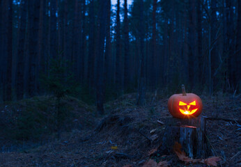 Wall Mural - halloween pumpkin in night forest