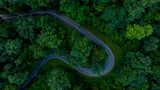 Fototapeta Uliczki - Aerial top view road in forest with car motion blur. Winding road through the forest. Car drive on the road between green forest. Ecosystem ecology healthy environment road trip.