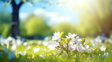 Beautiful, Blurred Spring Background. Nature And Blooming Glade, Trees And Blue Sky On Sunny Day. Nature Background