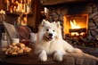 white fluffy samoyed dog  at home near fireplace in living room