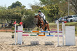 horse and rider showjumping