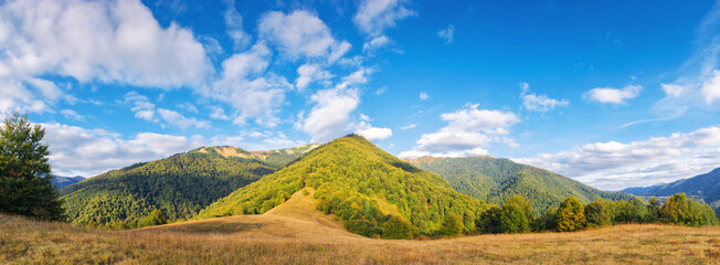 Wall Mural - landscape with grassy meadows. distant mountain ridge beneath a sky with clouds. beautiful panoramic
