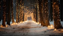 Pine Trees Wrapped In Golden Fairy Lights. Snowy Path Filled With Golden Fairy Lights. Snowy Forest. Pine Trees. Golden Fairy Lights. Winter Landscape. Winter