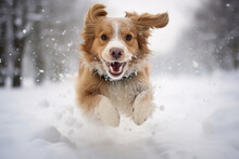 Generative AI Illustration Of Happy Dog Running In The Snow Winter Woods Looking At Camera