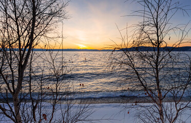 Wall Mural - snowy beach of lake baikal at sunset in december. fallen trees on the shore against the backdrop of 