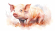 Chinese zodiac sign pig animal traditional painting style white background
