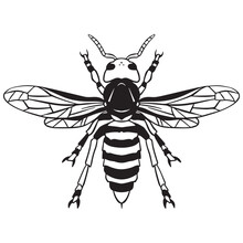Outline Art Killer Bee Variant 3 ,good For Graphic Resources, Printable Art, Suitable For Design Resources, Logo, Template Designs, And More. 