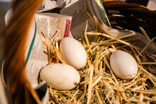 3 White Duck Eggs In A Basket