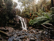 Small waterfall in tropical rainforest