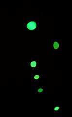 Wall Mural - green light, bokeh and glow on black background isolated on a mockup space. blur, dark backdrop and 