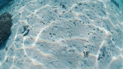 Wall Mural - Underwater view of the sandy sea bottom with sun reflection pattern