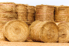 Large Hay Bales Delivered And Stacked For Drought Relief.