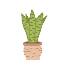 Wall Mural - cute cacti and succulent in pot on white background. Vector illustration. Flower in pots on stands. Home jungle