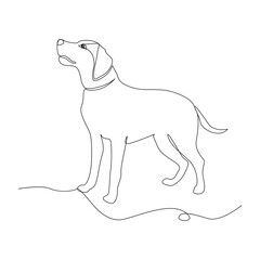 Wall Mural - Single line dog outline continuous vector art illustration