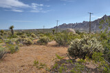 Fototapeta  - Mojave Park Narodowy