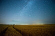 Milky way in the night starry sky above scenic road through wheat field