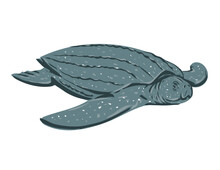 WPA Poster Art Of A Leatherback Sea Turtle, Dermochelys Coriacea, Lute Turtle, Leathery Turtle Viewed From Front Done In Works Project Administration Or Federal Art Project Style.
