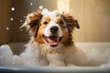 The dog bathes in a bath with soap bubbles and foam
