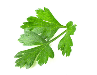 Wall Mural - Close-up of a parsley leaf, fresh herbs, and a cooking spice