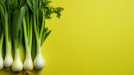 Wall Mural - fresh leeks  on a yellow background. 