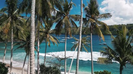 Poster - Tropical lagoon with turquoise water and palm trees. Gamat Bay on the Nusa Panida island. Bali, Indonesia