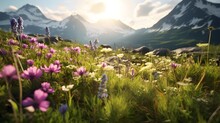 Meadow with flowers in the mountains
