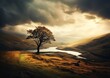 tree hill lake background scotland journalistic rivers lakes distant rainstorm golden dawn reduce saturation wales