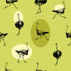 Wall Mural - ostrich sketch illustration. seamless pattern design. vector black outline