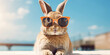 © Billijs - Funny bunny with sunglasses outdoors in summer. Fashionable rabbit with copy space.