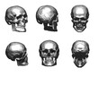 Collection of vintage skull vectors for web