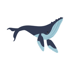 Sticker - humpback sealife animal