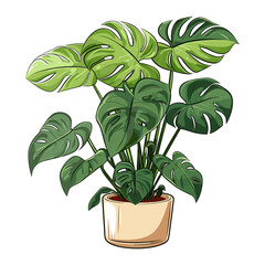 Monstera plant in a pot illustration