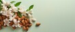 Pile of almonds with mint on a isolated pastel background Copy space