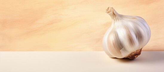 Canvas Print - One garlic clove alone isolated pastel background Copy space with slight color correction