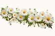 A chain of daisies. Object is isolated with a transparent background. Generative AI